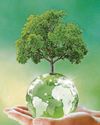 THE FUTURE IS GREEN THE FUTURE IS GREEN