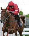 Hero set to strike Gold and Ramazan to win at Haydock Hero set to strike Gold and Ramazan to win at Haydock