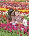 Bloomin' brilliant day with half a million tulips Bloomin' brilliant day with half a million tulips