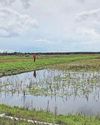 Mapping data shows 80% of England's peatlands are dry Mapping data shows 80% of England's peatlands are dry