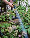 Plea to be 'water wise' as scorching weather hits area8