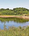 Tips to help as weather sparks water concerns5