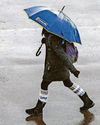 Study warns climate change will make extreme rain more common15