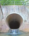 Water firms under pressure as serious pollution cases up 60% Coventry Telegraph
