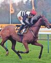 Top fits the Bill to win the Tommy Whittle Chase10