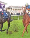 Hawk set to fly high at Newmarket20