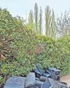 Take your rubbish to the tip, says fed-up city resident0