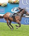 Murphy ready to get back on Asfoora saddle10