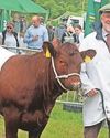 Frome Standard & Somerset Guardian