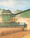 Dry spring places arable harvest 'on a knife edge'13