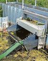 Endangered eels given easier ways to slip through19