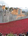 'More important than ever to remember' 'More important than ever to remember'