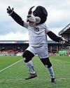Valiants are rewarded by EFL for delivering an outstanding matchday family experience32