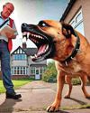 'Attacks by dogs remain one of the most significant safety risks faced by posties'5