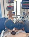 Heartbreak for family as baby girl dies at just eight days old4
