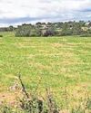 Plans to build 400 homes in the Green Belt20