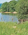 Families urged to save water ahead of another 'heatwave'10