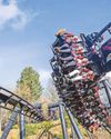 Mum hit after she challenged queue jumper at theme park15
