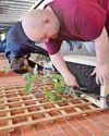 Groups dovetail in project to transform unused land for library staff and users The Sentinel