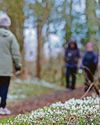 'Together, we hope to relieve pressure on mental wellbeing services in county'4