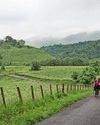 Samantha, 76, set for 14-day, 200-mile charity hike The Sentinel