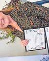 Vicki scoops two awards for 'outstanding' way she cares for the Dougie Mac gardens Vicki scoops two awards for 'outstanding' way she cares for the Dougie Mac gardens6