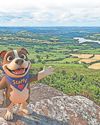 £600k boost from pup culture trail2