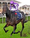 Hawk Mountain can scale the Craven heights at Newmarket27