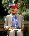 Forrest Trump's a choccy horror Daily Star Sunday
