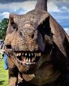2 of our dinos are missing! 2 of our dinos are missing!
