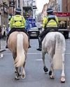 DIDDY ROZZERS SO SADDLE SORE Daily Star Sunday