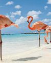 Caribbean beyond the beaches44