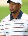 TIGER: I'VE PLENTY TO WORK ON