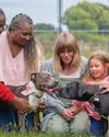 Rescue centres in crisis over rise in dumped dogs