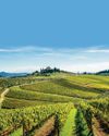 Vatican's grape expectations for a holy vintage Sunday Express