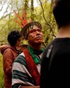 The ancient rainforests under threat ...in Britain Sunday Express