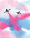 RED ARROWS JETS 'MUST BE BRITISH'0