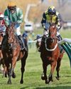 Macdermott can win the Scottish National again Macdermott can win the Scottish National again