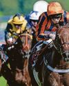 HORSE POWER Gemini claims are written in the stars at Sandown HORSE POWER Gemini claims are written in the stars at Sandown
