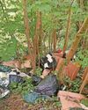 Town hall chiefs back fly-tipper crackdown Town hall chiefs back fly-tipper crackdown