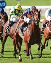 Expanded to win 2,000 Guineas at Newmarket Expanded to win 2,000 Guineas at Newmarket