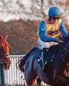 HORSE POWER Chemical may have right formula for Fakenham HORSE POWER Chemical may have right formula for Fakenham