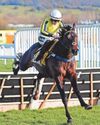 HORSE POWER East India Dock looks up for a Flat return success