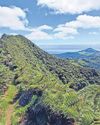 Lemurs, eagles and cloud forest receive UK conservation funds The Huddersfield Daily Examiner