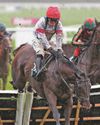 HORSE POWER Nom better than this for Leicester novices' hurdle23