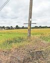 The Huddersfield Daily Examiner