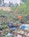 50-year eyesore is finally cleared 50-year eyesore is finally cleared8