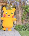 You've gotta catch 'em all!22