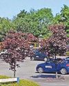 Electric charging bays get go-ahead Electric charging bays get go-ahead5