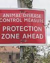 Bird flu case rise sparks restrictions